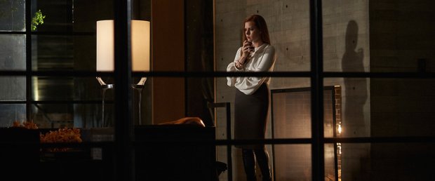 hero_Nocturnal-Animals-2016