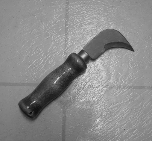 Figure 2 - Linoleum_Knife